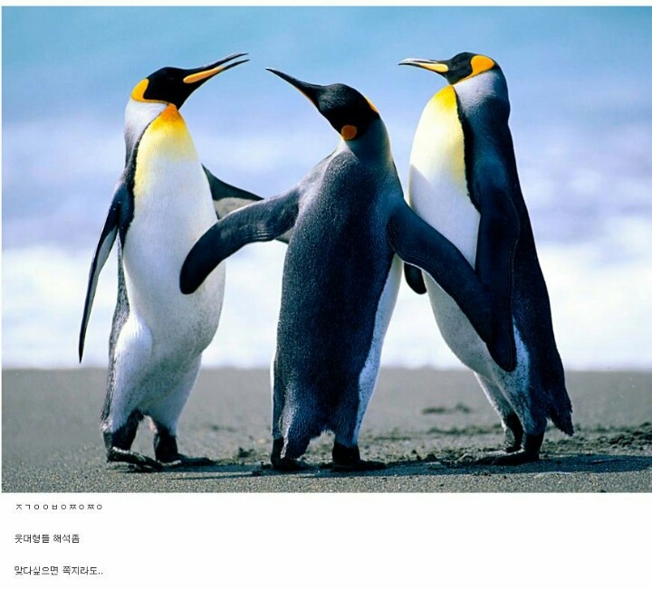 19? 여친이랑 헤어졌는데 상메에 ㅈㄱㅇㅇㅂㅇㅇㅇ 올라옴 | 인스티즈