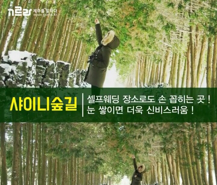 제주 겨울 여행지 12.jpg | 인스티즈
