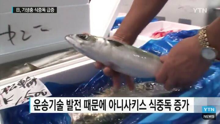 일본 여행 시 주의사항 | 인스티즈