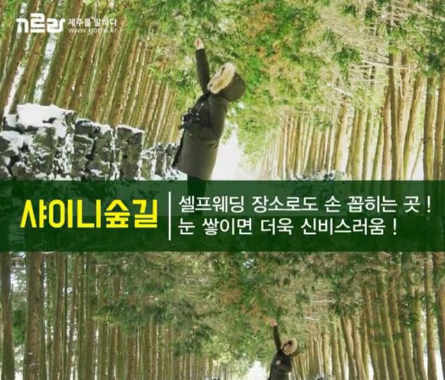 여자친구와 제주도로 여행을 떠나보자 | 인스티즈