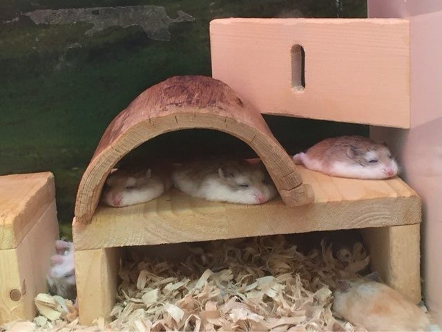 중력 좀 꺼주세요... | 인스티즈