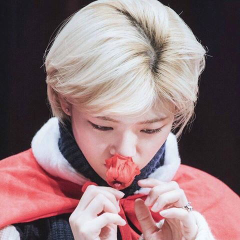 트와이스 정연에 대한 잘못된상식 | 인스티즈
