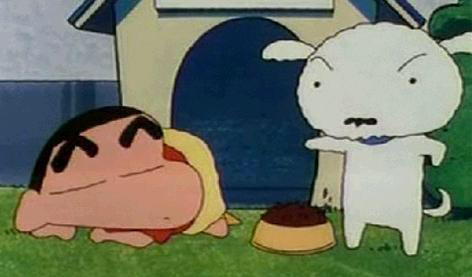 [고르기] 200만원내고 흰둥이 키우기 or 200억받고 오수키우기 | 인스티즈