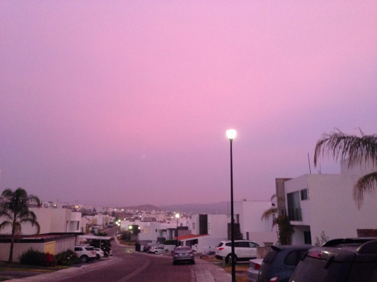  나는 완전하고 싶었다 | 인스티즈