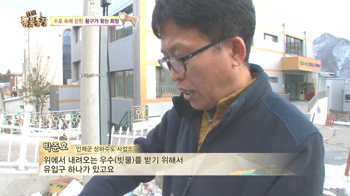 [동물농장] 수로 속에 갇힌 황구가 찾는 희망.JPG (감동주의) | 인스티즈