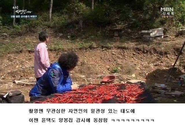말벌잡는아저씨ㅋㅋㅋㅋㅋㅋㅋㅋ | 인스티즈