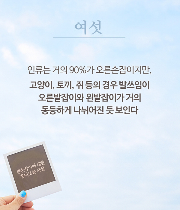 왼손잡이에 대한 흥미로운사실 | 인스티즈