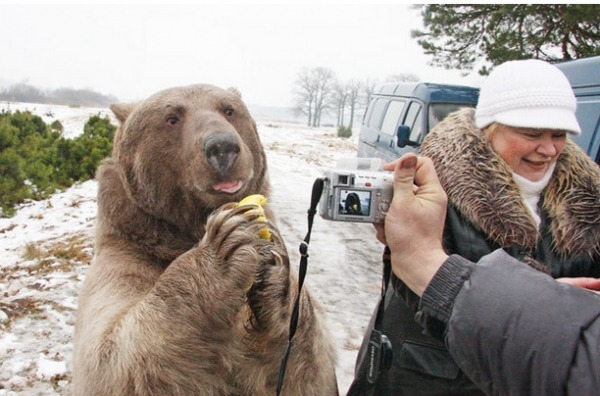 불곰국의 반려동물.jpgif | 인스티즈