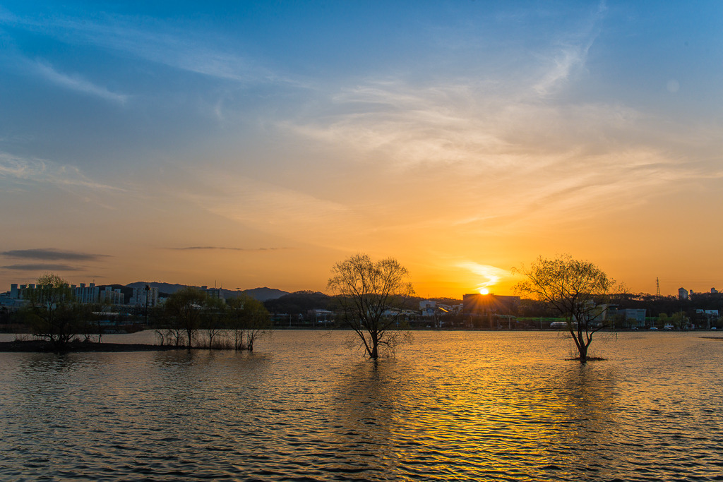 송학화원 이미지