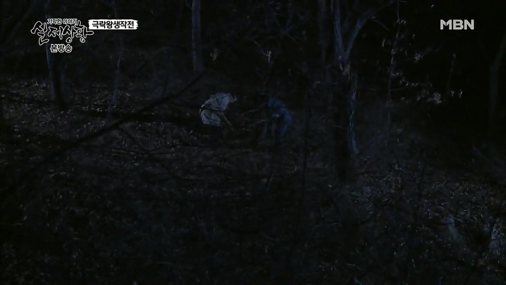 차가운 야산에 묻힌 12살 정우의 안타까운 사건 '기막힌 이야기 실제상황' (2) | 인스티즈