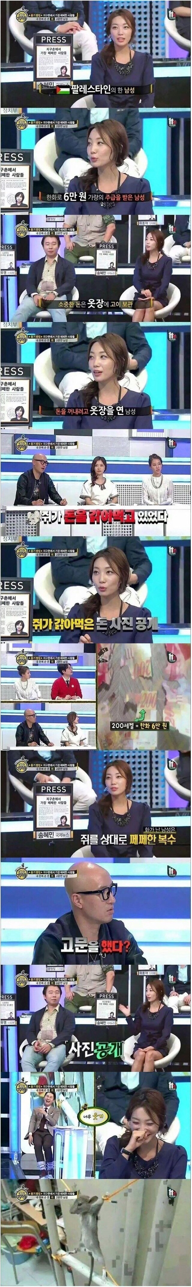 쥐가 돈을 갉아먹자 복수한 남성 | 인스티즈