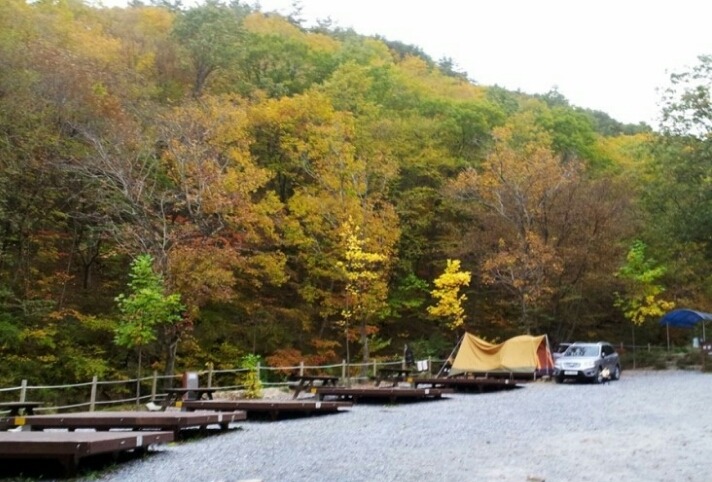 국립황정산자연휴양림캠핑장 이미지