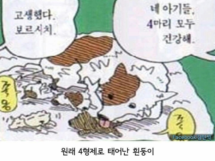 흰둥이 출생이야기 jpg | 인스티즈