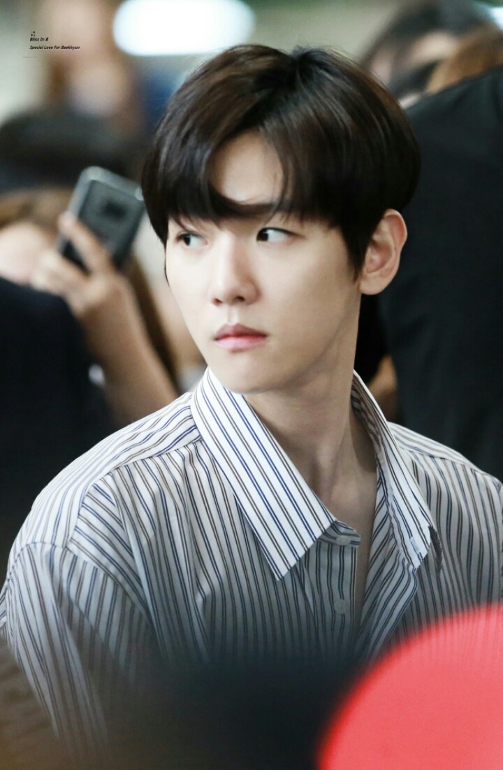 망상 이미지