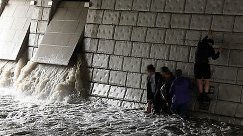 청계천에서 비올때 다리밑으로 피하면 안되는 이유.jpg | 인스티즈