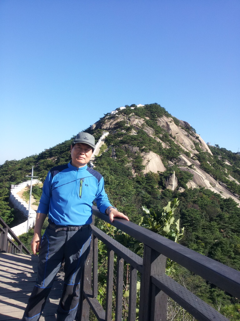 우담 이미지