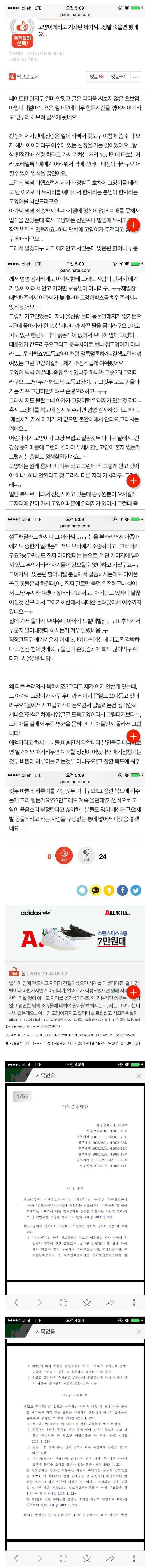 고양이 데리고 기차탄 아가씨 | 인스티즈