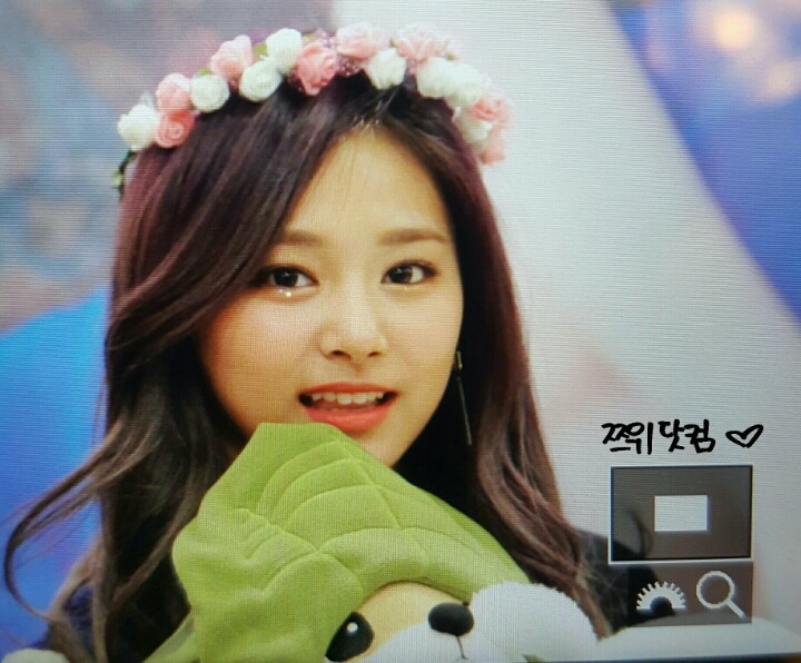 [트와이스] 멍뭉이 같은 쯔위 | 인스티즈