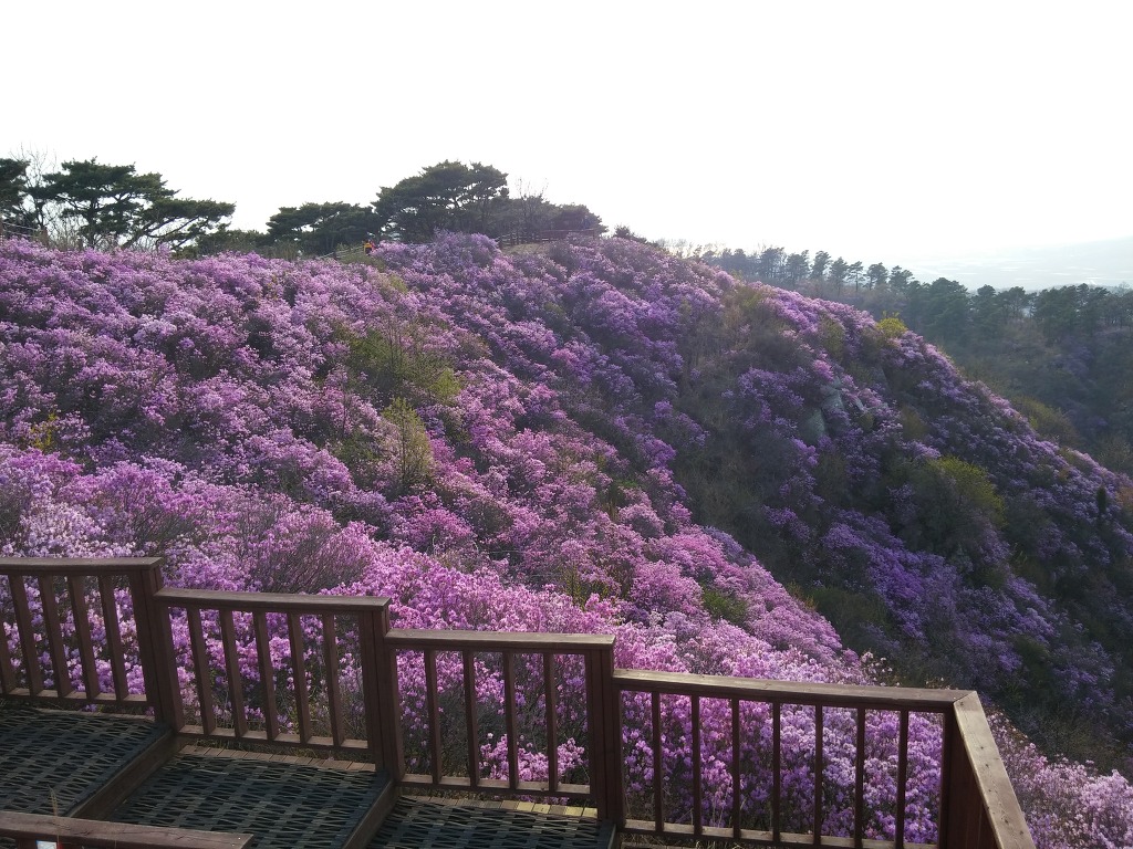 고려산 이미지