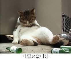 루시아 이미지