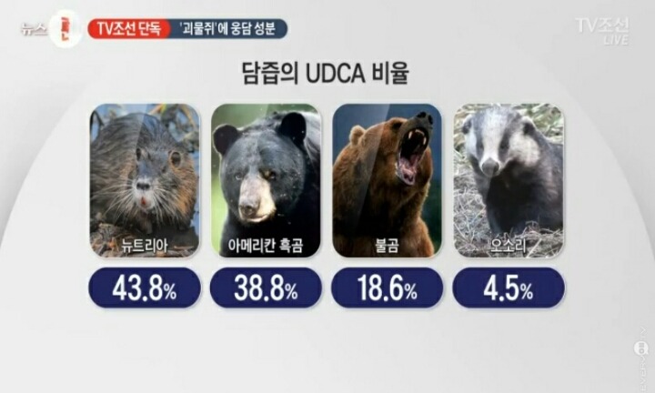 뉴트리아 멸종위기.jpg | 인스티즈