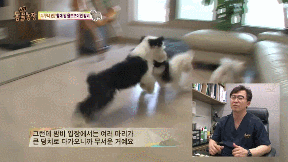 누가봐도 사자임 아무튼 사자임.gif | 인스티즈