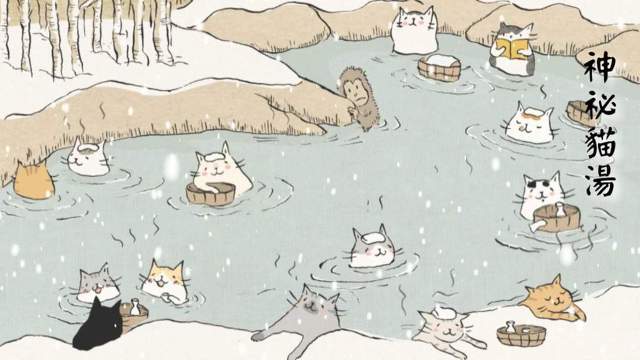 우리가 출근하면 냥이들은 뭐하고 있을까? | 인스티즈