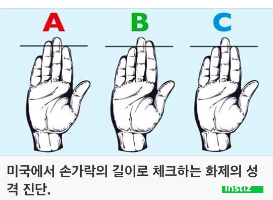 미국에서 손가락 길이로 체크하는 성격진단 | 인스티즈