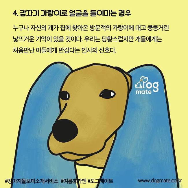 강아지가 이렇게하면 웃고있는 거라는데... | 인스티즈