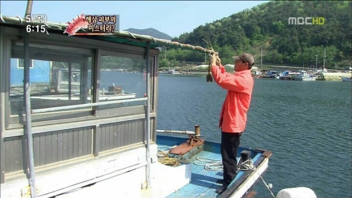 해삼의 미스테리.jpg | 인스티즈