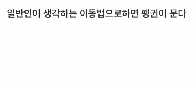 펭귄을 옮기는 법 | 인스티즈