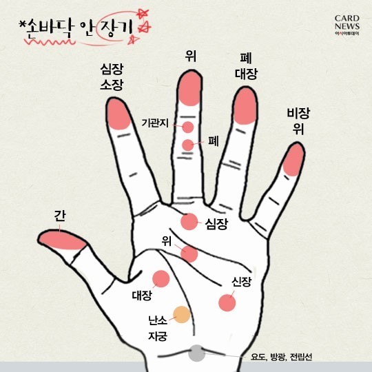 부위 통증별 손 마사지 혈 총정리 | 인스티즈