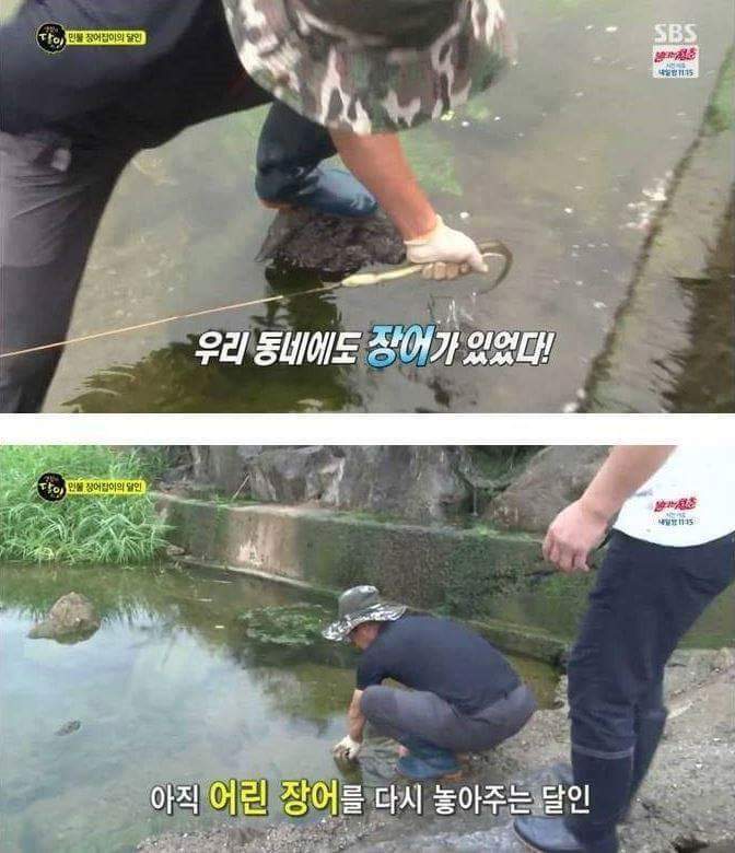 민물장어의 위엄 | 인스티즈