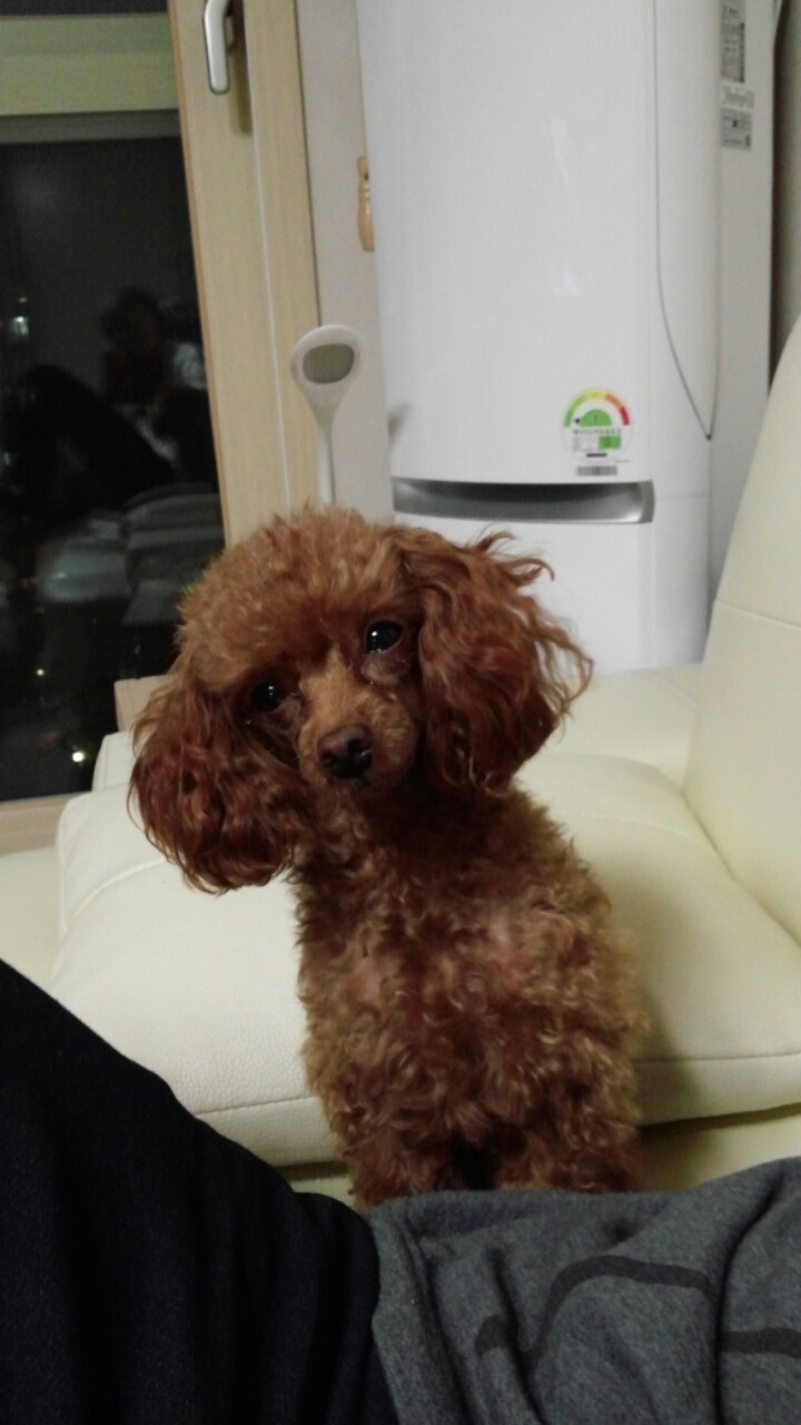 예삐농장 이미지
