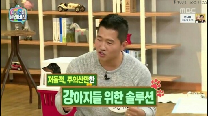 [마리텔] 강형욱 훈련사도 포기한 강아지 도비 | 인스티즈