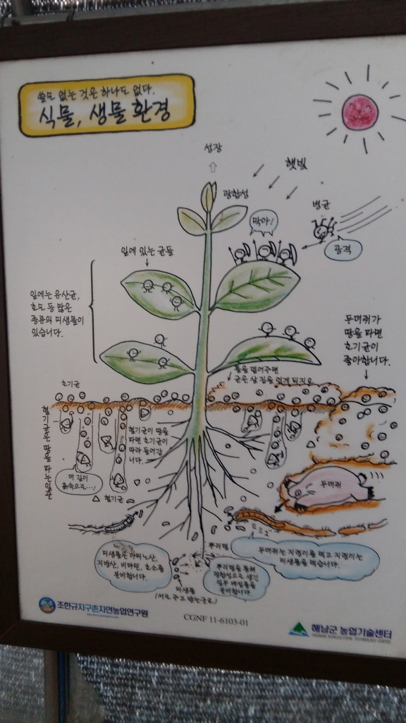 자연퇴비 이미지
