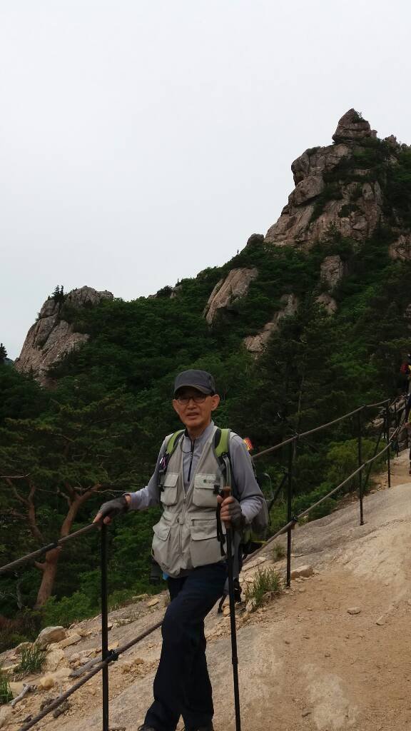 연리지 이미지