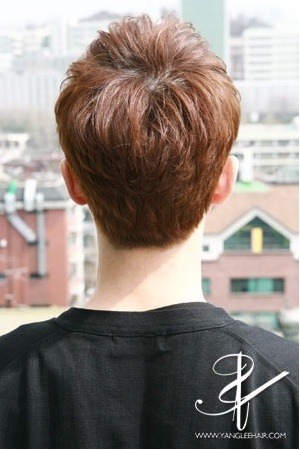 올리브디자인 이미지