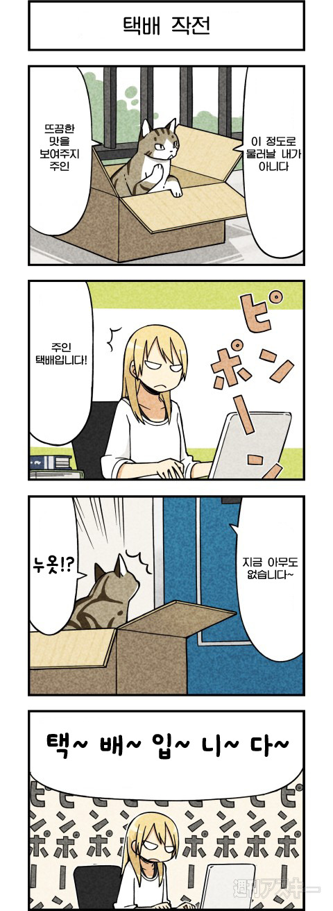 고양이가 말하는 만화.JPG | 인스티즈