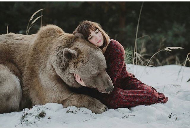 같이 사는 곰 | 인스티즈