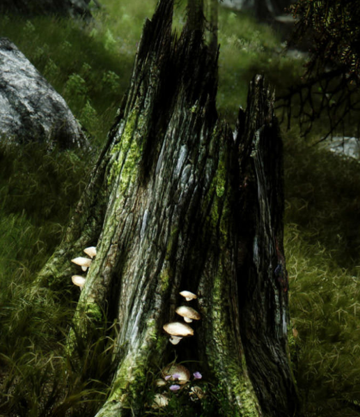 이 사진들 좀 보세요 | 인스티즈