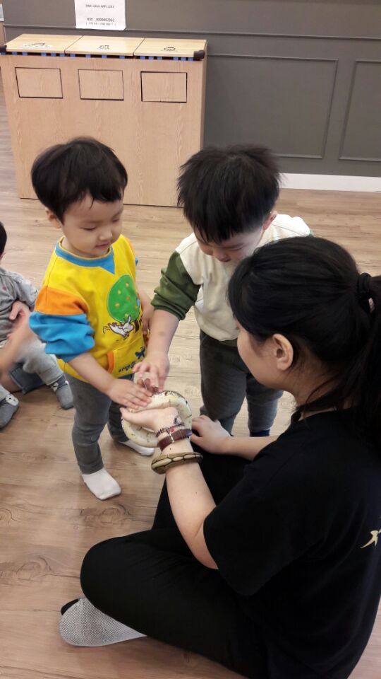 카페시율 이미지