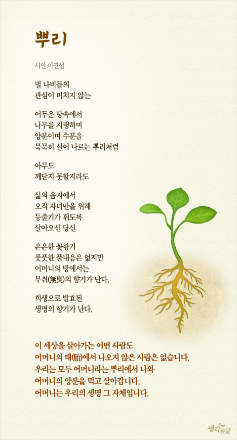 뿌리 이미지