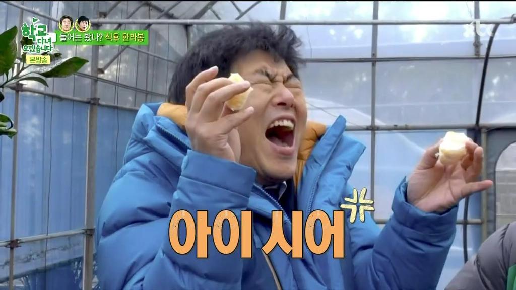 한라봉도 착하게 먹는 김희원 | 인스티즈