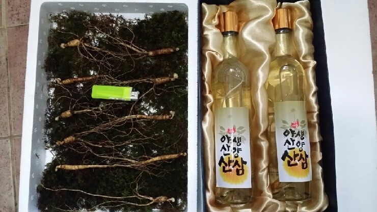산양산삼 이미지