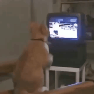 이렇게 때리라고.gif | 인스티즈