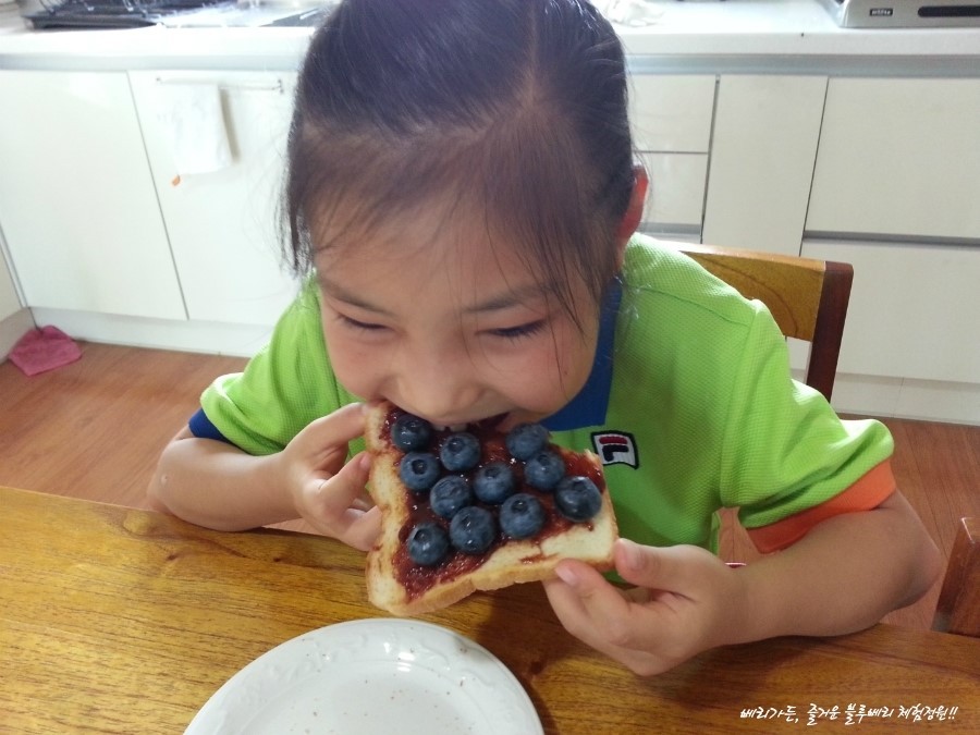 블루베리스토리 이미지