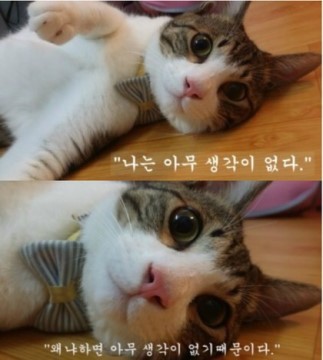 비주 이미지