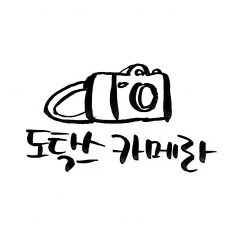 하와이 마우이섬의 파도 | 인스티즈