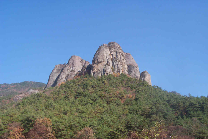 주왕산통나무펜션 이미지